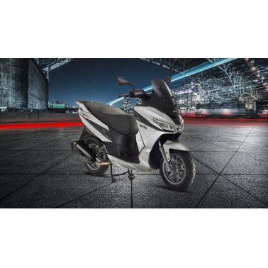 SXR 50 SXR 50