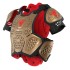 Colete MX2 Roost Guard Gold DAINESE L/XXL