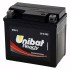 Bateria de Moto CBTX5L-FA UNIBAT